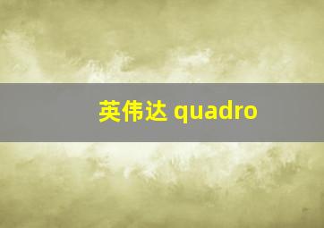 英伟达 quadro